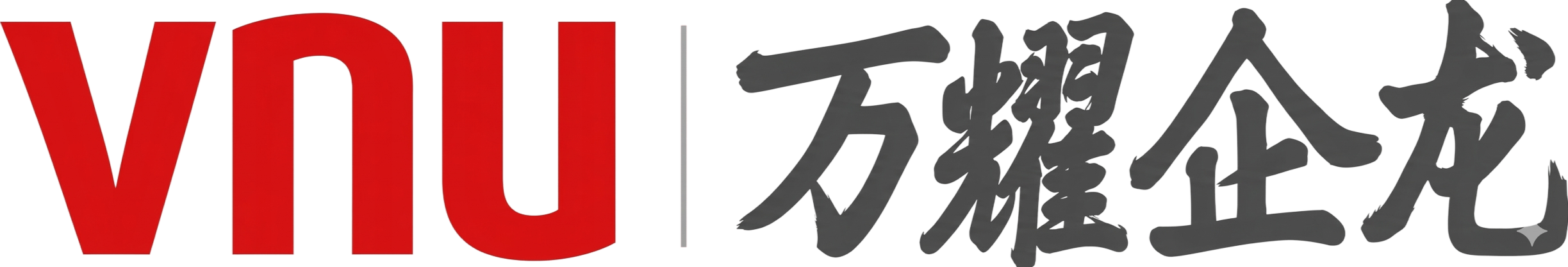 VNU logo